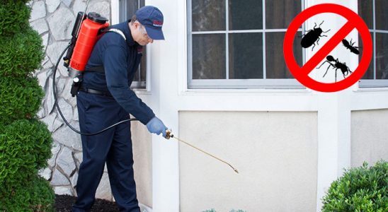 Çayırlı Bit İlaçlama böcek ilaçlama ve haşere kontrolü — ilaclama-tr.com